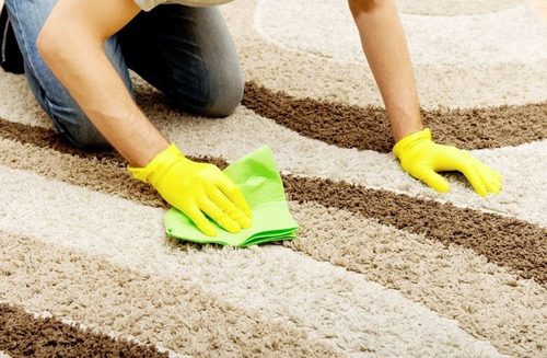 Limpia Alfombras Tapizados Espumigeno Extractor 5 Litros - Imagen 4