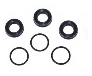 Empaquetaduras Retenes De Agua Hidrolavadora Ever Green 100