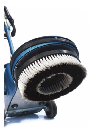 Cepillo Cerdas Lustrar Lustradora Ub 270  Dixter Turbion