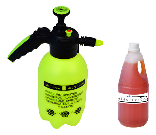 Pulverizador Prof Detail Lavatapizado Motores 2 L Shampoo 1l Verde